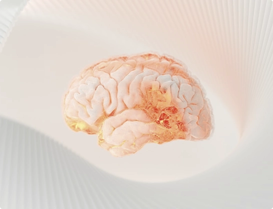 Human brain